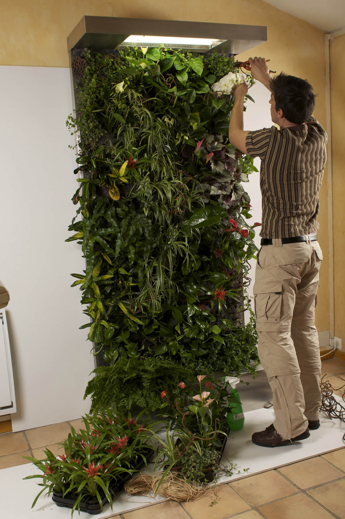 comment faire un mur végétal ? mur de plantes naturelles ou stabilisées — free download