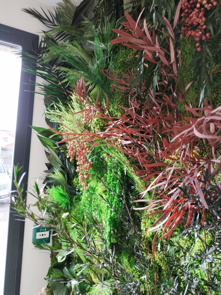 Quelle est la possibilité de mélanger des plantes stabilisées